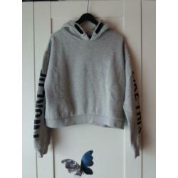 grijze trui / hoodie, maat 146/152