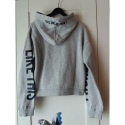 grijze trui / hoodie, maat 146/152