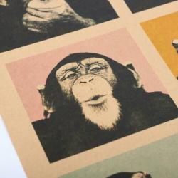 Gorilla aap apen chimps dieren dierentuin poster boeken dvd