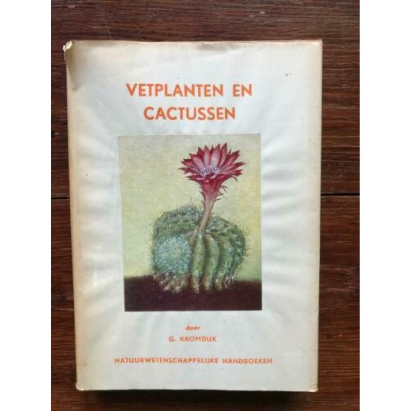 G. Kromdijk Vetplanten en cactussen 1950