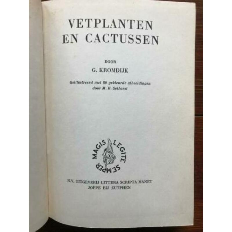 G. Kromdijk Vetplanten en cactussen 1950