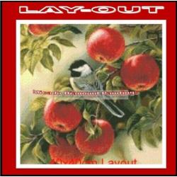 ¦ Diamond Painting Vogel/Appels 40*40 Volledig-Full