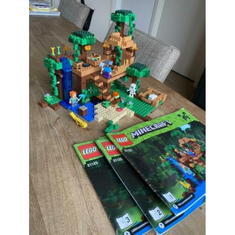 Minecraft Lego 21125