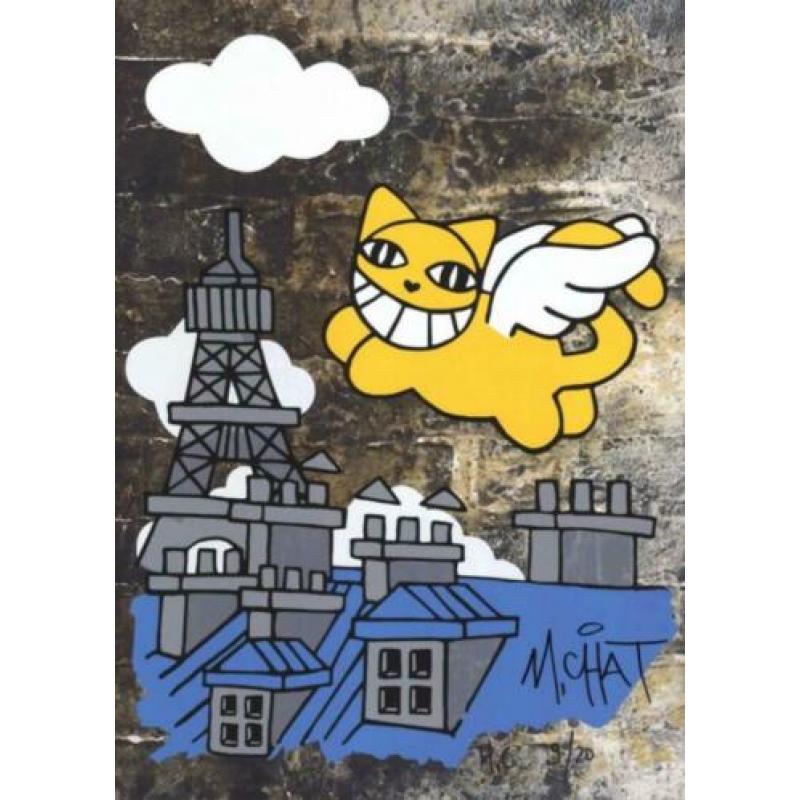 L’ avenir du chat volant - ciel de Paris van Thoma Vuille