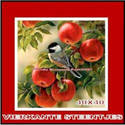 ¦ Diamond Painting Vogel/Appels 40*40 Volledig-Full