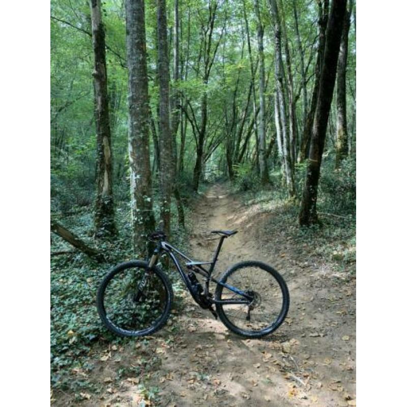 Specialized camber 29er