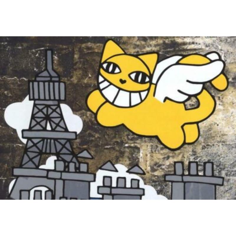 L’ avenir du chat volant - ciel de Paris van Thoma Vuille