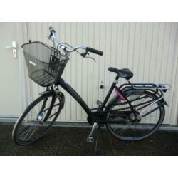 BATAVUS "Mambo" met framemaat 53 cm en 8 versnellingen