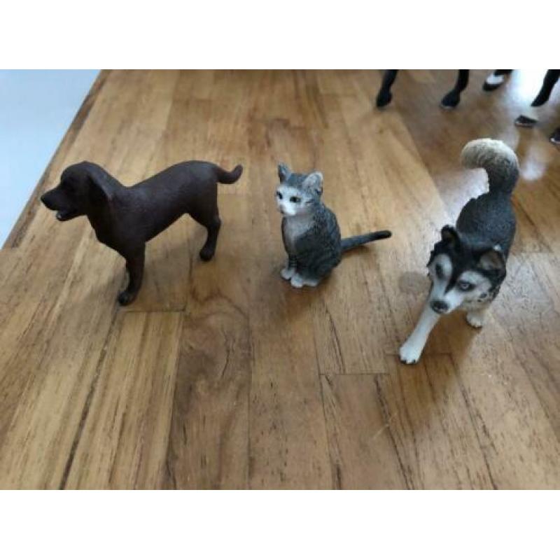 Diverse Schleich paarden (hond/kat)