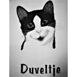 Nieuw Zwart Wit Felix T-Shirt " Duveltje " L / XL Lange Mouw