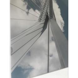 Kunstfoto De Zwaan, Erasmusbrug Rotterdam