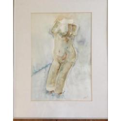 Aquarel torso naakt 45cm x 66cm