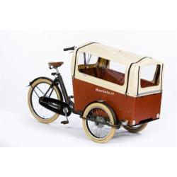 Bakfiets.nl CargoTrike Cruiser Wide Steps