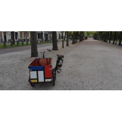 Unieke Elektrische Mondriaan Bakfiets Babboe