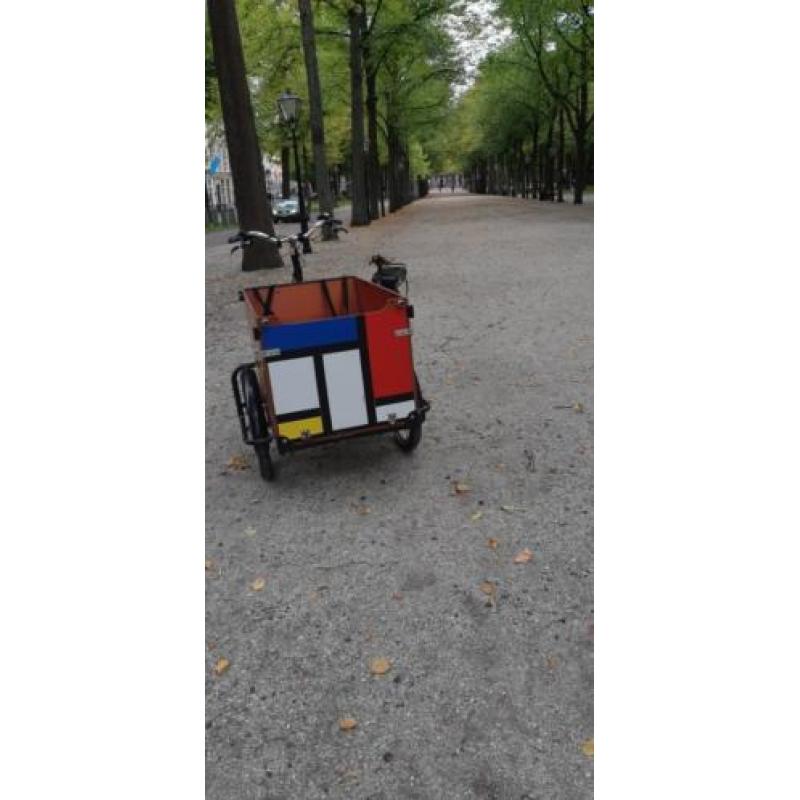 Unieke Elektrische Mondriaan Bakfiets Babboe