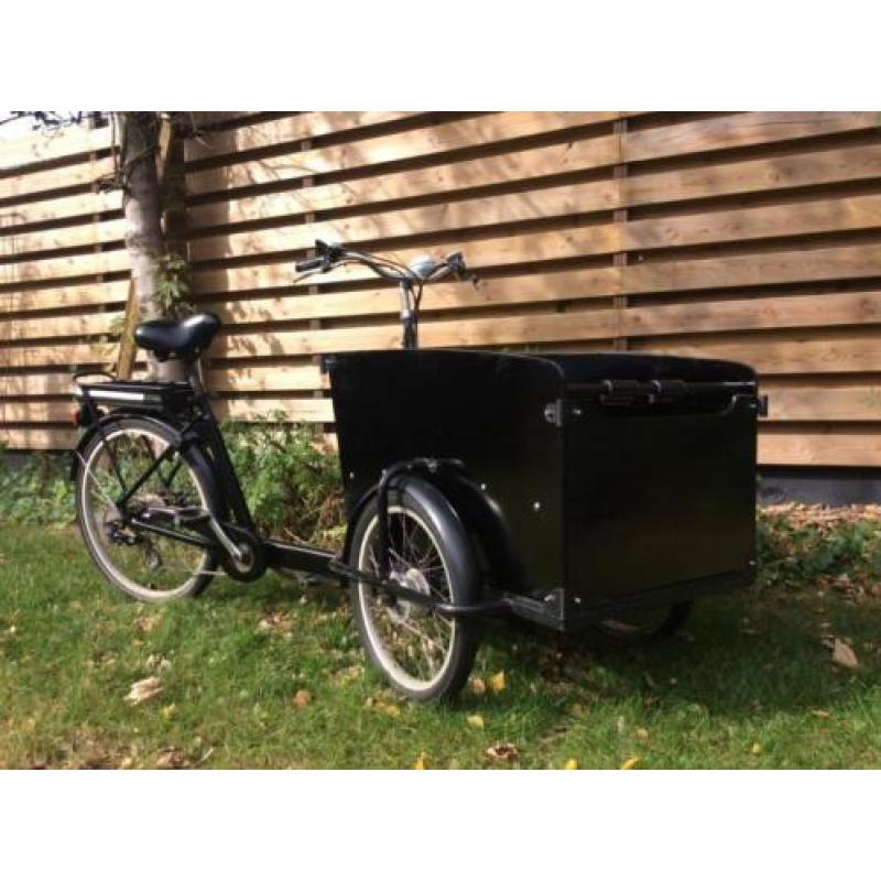 Bakfiets Babboe Big Elektrisch met regenhuif