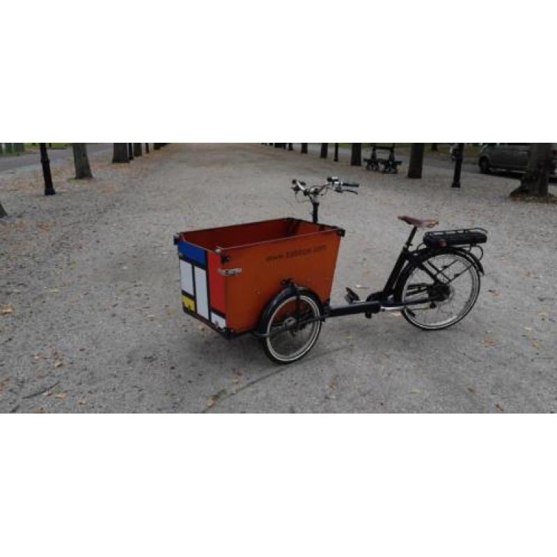 Unieke Elektrische Mondriaan Bakfiets Babboe